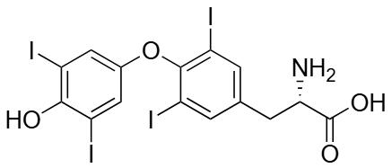1000127106.webp
